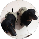 LOVE ALL CREATURES profile picture